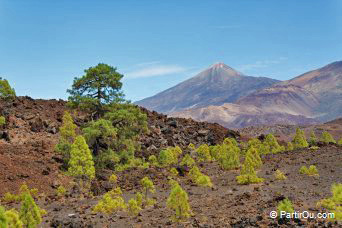 Parc national du Teide - Tenerife